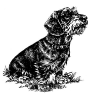 Esser Autoaufkleber in Konturenform,  Schwarz