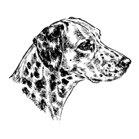 Esser Autoaufkleber in Konturenform,  Schwarz