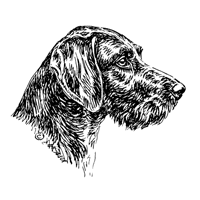 Esser Autoaufkleber in Konturenform,  Schwarz