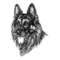 Esser Autoaufkleber in Konturenform,  Schwarz