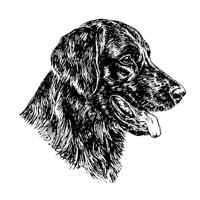 Esser Autoaufkleber in Konturenform,  Schwarz