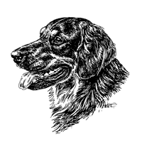 Esser Autoaufkleber in Konturenform,  Schwarz