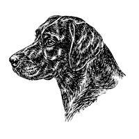 Esser Autoaufkleber in Konturenform,  Schwarz