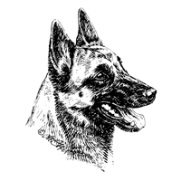 Esser Autoaufkleber in Konturenform,  Schwarz