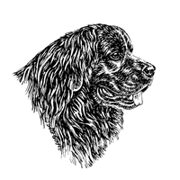 Esser Autoaufkleber in Konturenform,  Schwarz