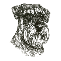 Esser Autoaufkleber in Konturenform,  Schwarz