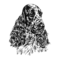 Esser Autoaufkleber in Konturenform,  Schwarz