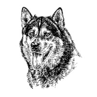 Esser-Warnschild "Herr im Haus bin ich!"