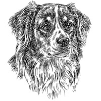 Esser-Warnschild "Herr im Haus bin ich!"