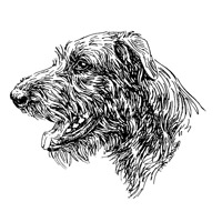 Esser-Warnschild "Herr im Haus bin ich!"