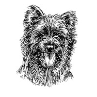 Esser-Warnschild "Herr im Haus bin ich!"