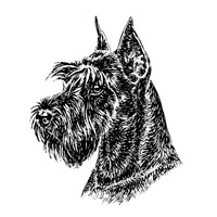 Esser-Warnschild "Herr im Haus bin ich!"