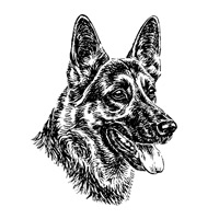 Esser-Warnschild "Herr im Haus bin ich!"