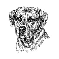 Esser-Warnschild "Herr im Haus bin ich!"