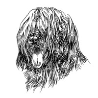 Esser-Warnschild "Hier wache ich" Größe 12, 5 x 14, 5 cm mit Motiv