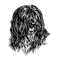 Esser-Warnschild "Hier wache ich" Größe 12, 5 x 14, 5 cm mit Motiv