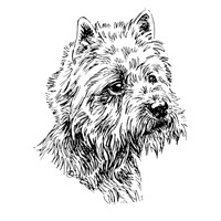 Esser-Warnschild "Hier wache ich" Größe 12, 5 x 14, 5 cm mit Motiv