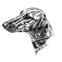 Esser-Warnschild "Hier wache ich" Größe 12, 5 x 14, 5 cm mit Motiv