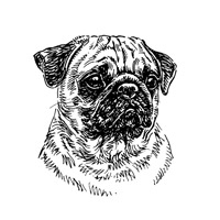 Esser-Warnschild "Hier wache ich" Größe 12, 5 x 14, 5 cm mit Motiv