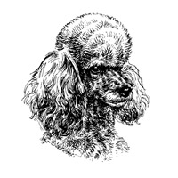 Esser-Warnschild "Hier wache ich" Größe 12, 5 x 14, 5 cm mit Motiv