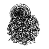 Esser-Warnschild "Hier wache ich" Größe 12, 5 x 14, 5 cm mit Motiv