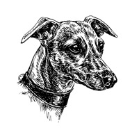 Esser-Warnschild "Hier wache ich" Größe 12, 5 x 14, 5 cm mit Motiv