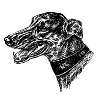 Esser-Warnschild "Hier wache ich" Größe 12, 5 x 14, 5 cm mit Motiv