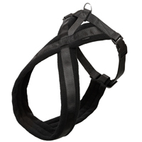 Gepolstertes Nylon-Geschirr "Sportiv",  Farbe: schwarz 