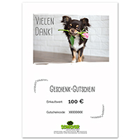 Geschenk-Gutschein zum Ausdrucken,  Vielen Dank