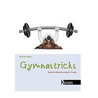 Gymnastricks