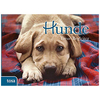 Hunde