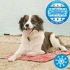 Hunde-Kühlliegematte - rot -