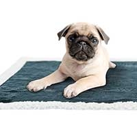 Hunde-Kuscheldecke Paul