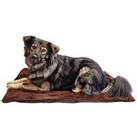 Hunde-Liegedecke Thermo