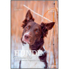 Hunde Quizkalender 2022