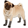 Hundesocken,  Farbe: schwarz-grau