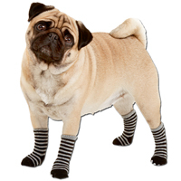 Hundesocken,  Farbe: schwarz-grau