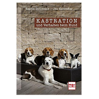 Kastration und Verhalten beim Hund