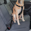 KFZ-Hunde Gurtsicherung