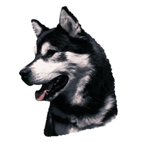 Kleine Aufkleber 4er Packung