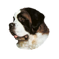 Kleine Aufkleber 4er Packung