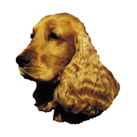 Kleine Aufkleber 4er Packung