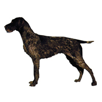 Kleine Aufkleber 4er Packung