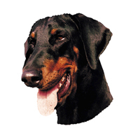 Kleine Aufkleber 4er Packung