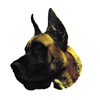 Kleine Aufkleber 4er Packung