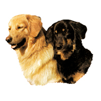 Kleine Aufkleber 4er Packung