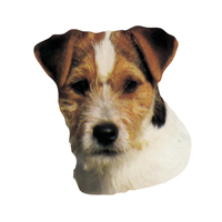 Kleine Aufkleber 4er Packung