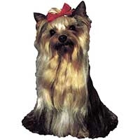 Kleine Aufkleber 4er Packung