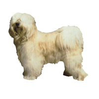 Kleine Aufkleber 4er Packung