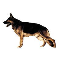 Kleine Aufkleber 4er Packung